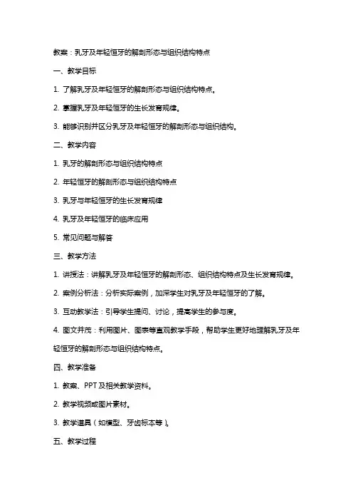教案：乳牙及年轻恒牙的解剖形态与组织结构特点
