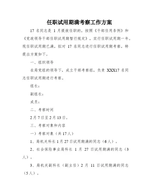 任职试用期满考察工作方案