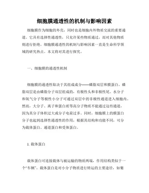 细胞膜通透性的机制与影响因素