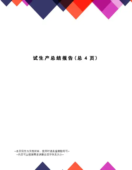 试生产总结报告