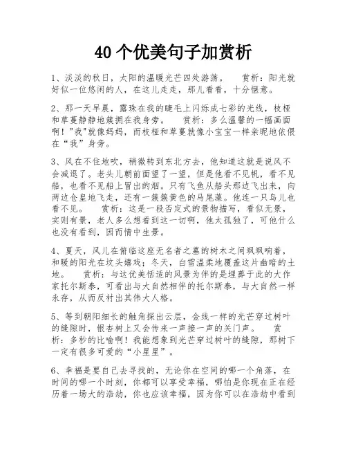 40个优美句子加赏析