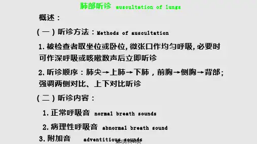 胸部检查听诊