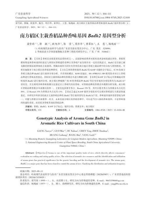 南方稻区主栽香稻品种香味基因Badh2基因型分析