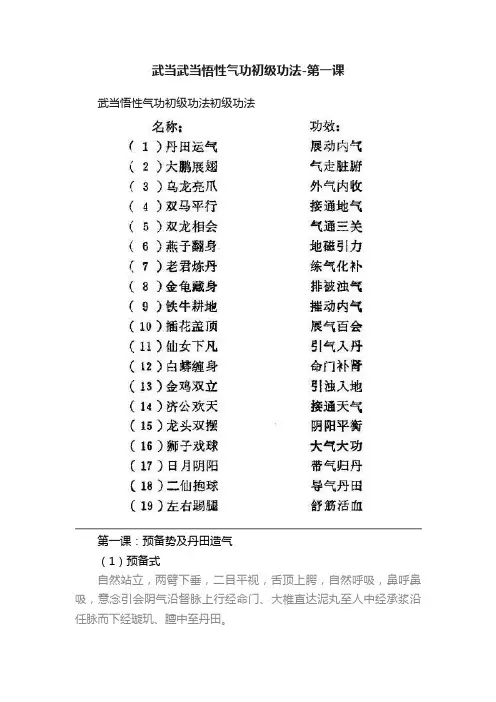 武当武当悟性气功初级功法-第一课