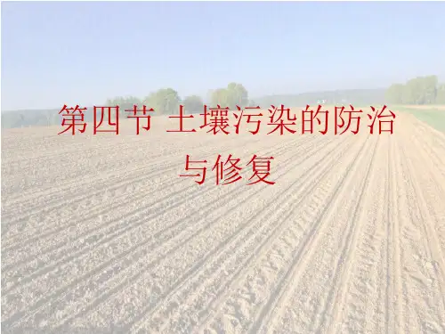 第四节 土壤污染的防治与修复