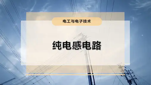 纯电感电路