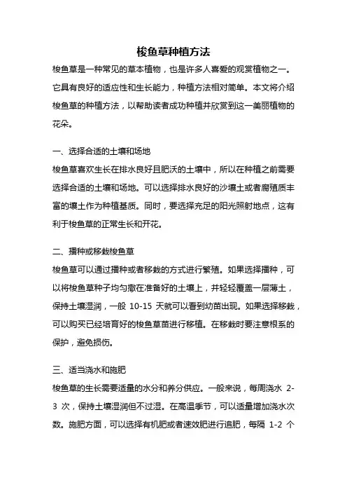 梭鱼草种植方法