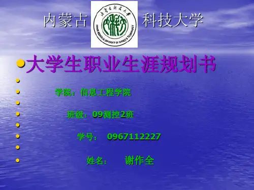大学生职业规划结课作业