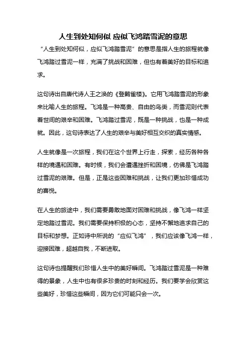 人生到处知何似 应似飞鸿踏雪泥的意思