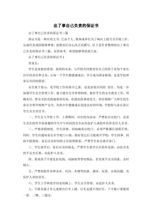 出了事自己负责的保证书