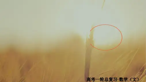 2018版高考一轮总复习数学文课件 第8章 平面解析几何 