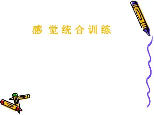 感觉统合示范课讲解