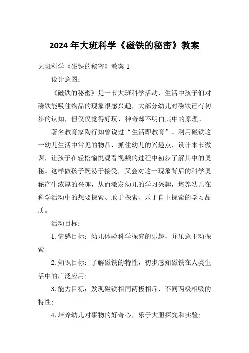 2024年大班科学《磁铁的秘密》教案