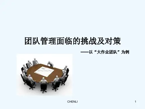 团队管理面临的挑战及对策PPT课件