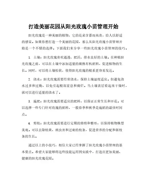 阳光玫瑰小苗管理技术