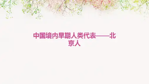 七年级上册历史第一课中国境内早期人类代表北京人