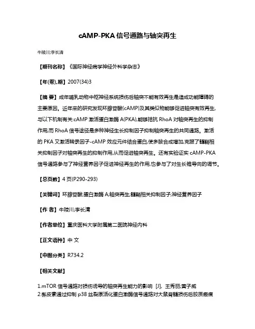 cAMP-PKA信号通路与轴突再生
