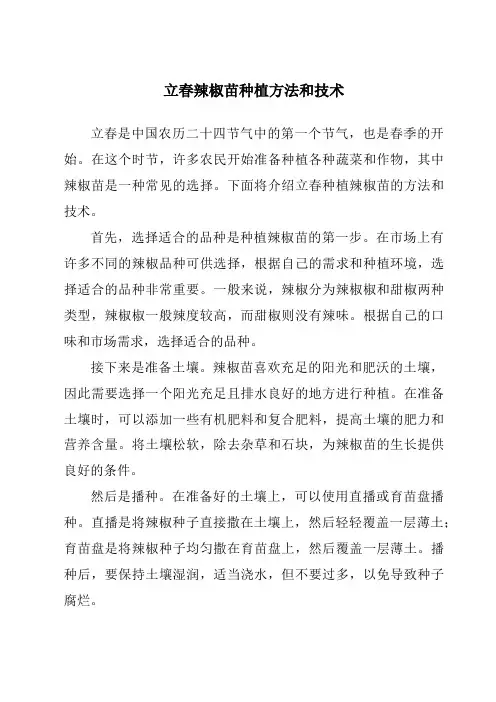 立春辣椒苗种植方法和技术