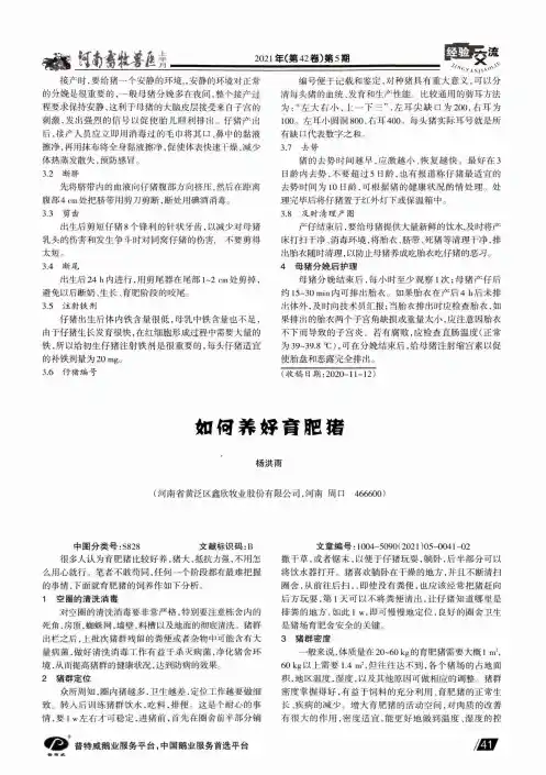 如何养好育肥猪