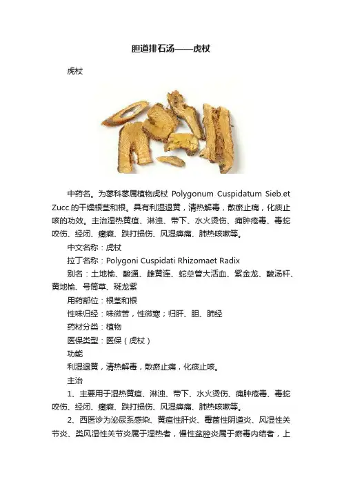 胆道排石汤——虎杖