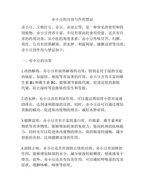 赤小豆的功效与作用禁忌