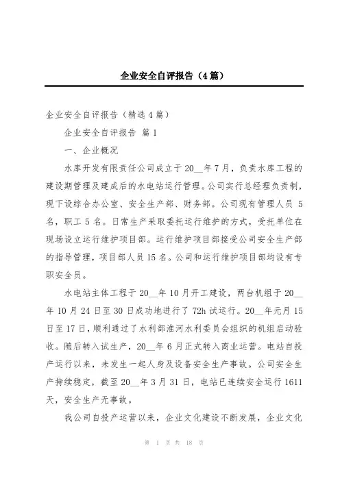 企业安全自评报告(4篇)