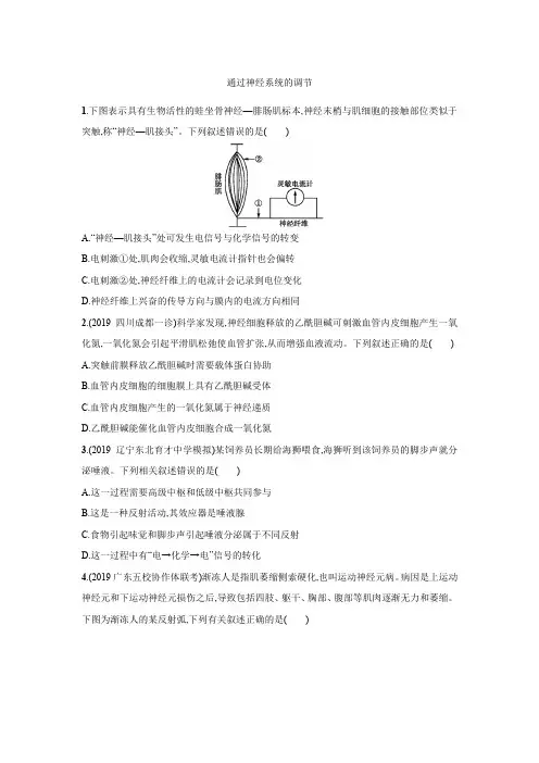 2021届人教版高三生物一轮复习：通过神经系统的调节