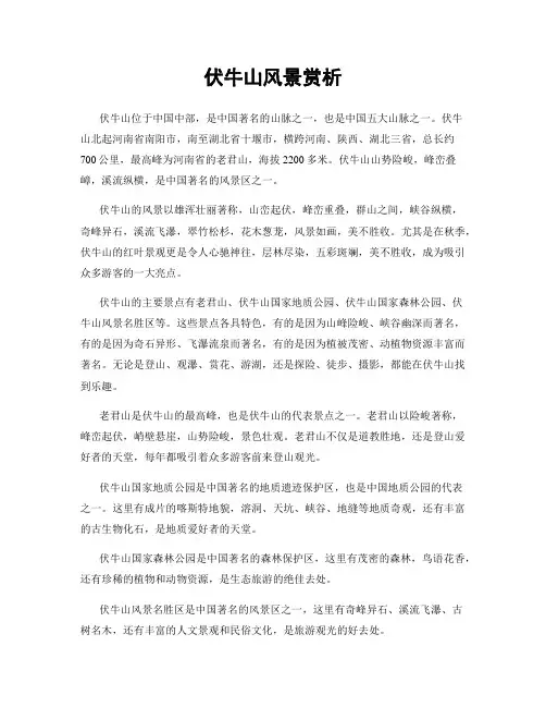 伏牛山风景赏析