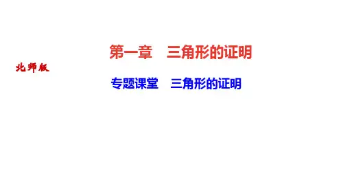 北师版八年级数学下册作业课件(BS) 第一章 三角形的证明 专题课堂 三角形的证明