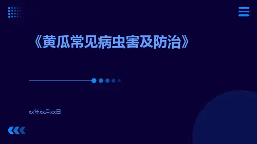 黄瓜常见病虫害及防治