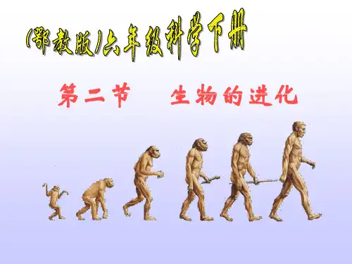 《生物的进化》ppt课件(3篇)