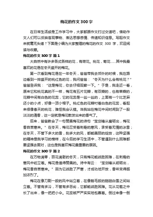 梅花的作文300字（通用43篇）
