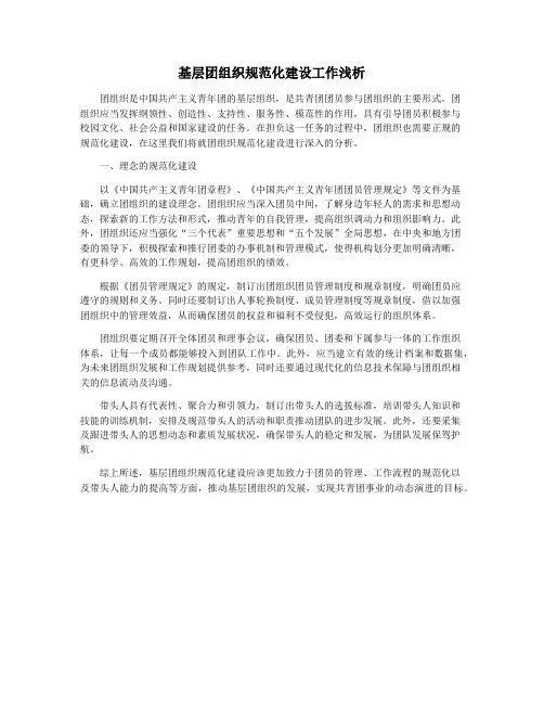 基层团组织规范化建设工作浅析