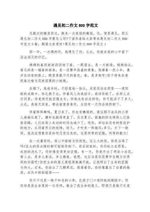 遇见初二作文800字范文