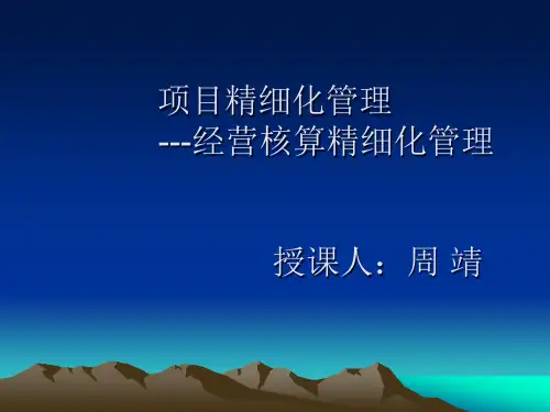 项目精细化管理