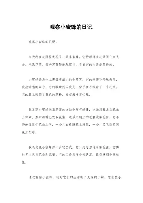 观察小蜜蜂的日记.