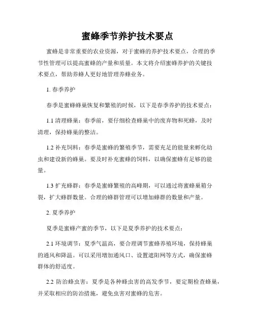 蜜蜂季节养护技术要点