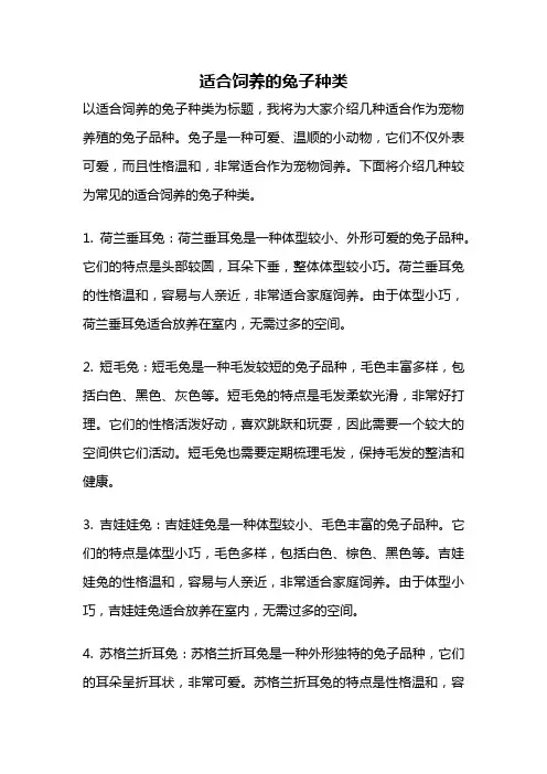 适合饲养的兔子种类