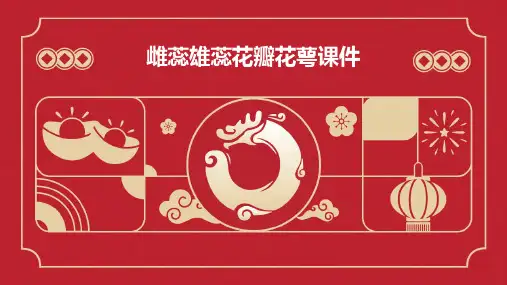 雌蕊雄蕊花瓣花萼课件