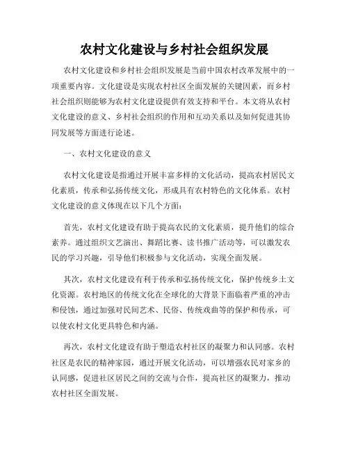 农村文化建设与乡村社会组织发展