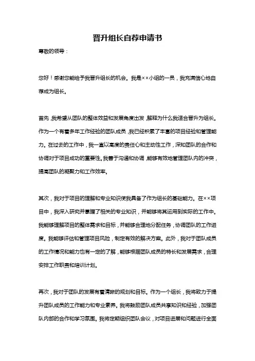 晋升组长自荐申请书