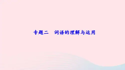 中考复习专题：词语的理解与运用ppt课件