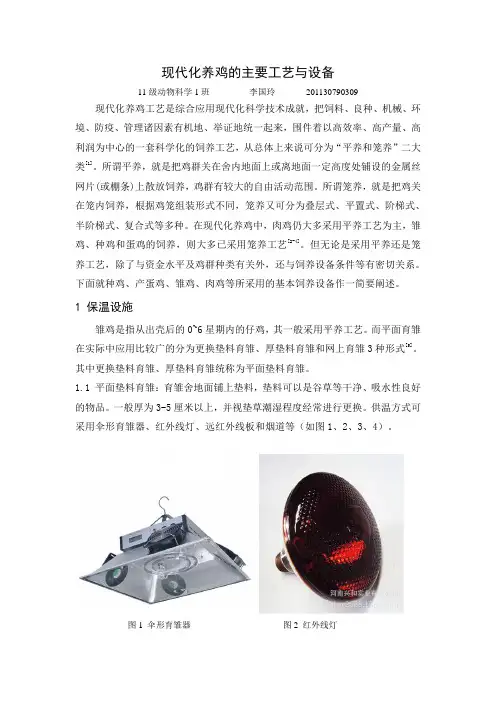 现代化养鸡的主要工艺与设备