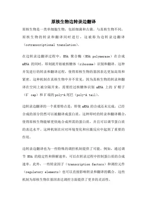 原核生物边转录边翻译