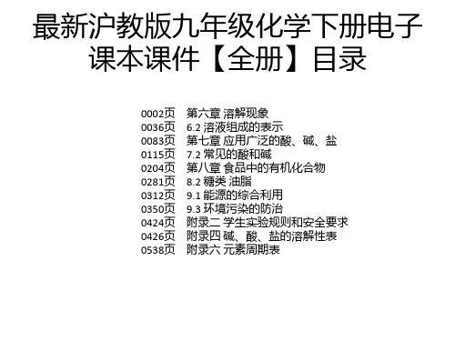 最新沪教版九年级化学下册电子课本课件【全册】
