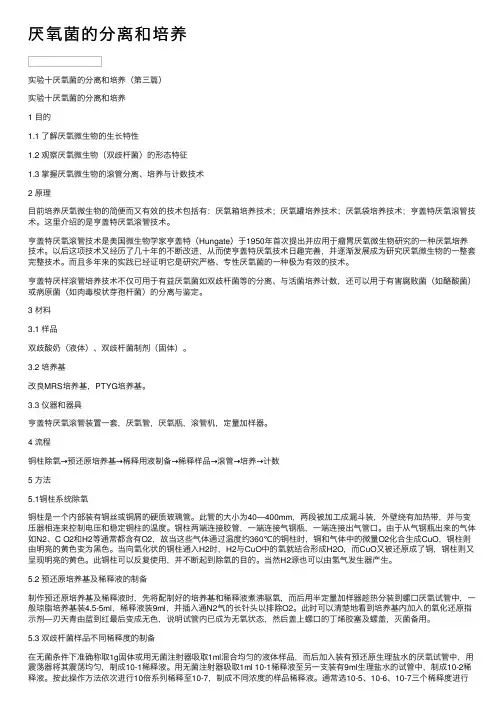 厌氧菌的分离和培养