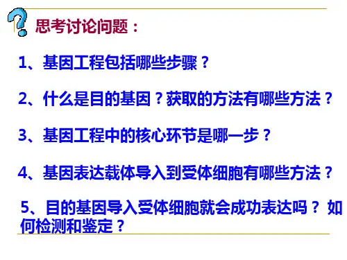 基因工程的基本操作步骤