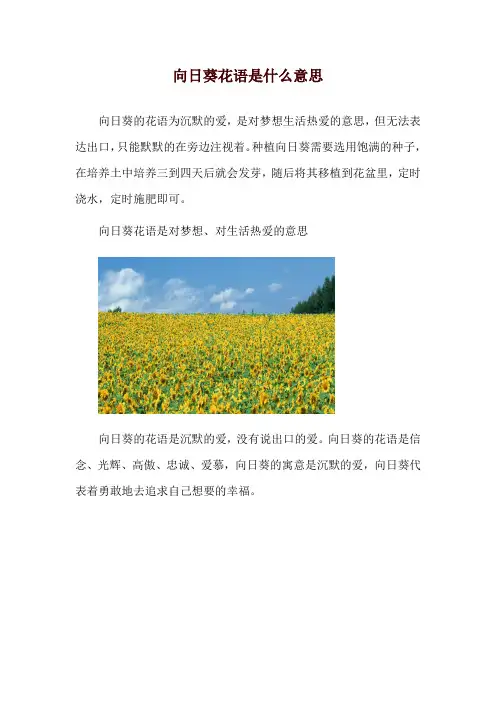 向日葵花语是什么意思