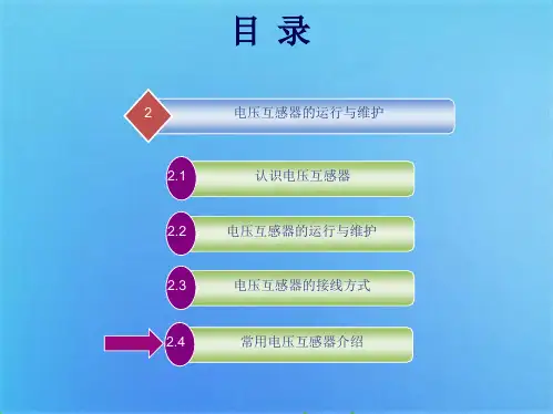 常用电压互感器介绍(共9张PPT)