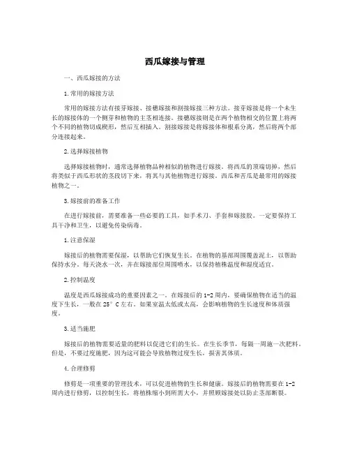 西瓜嫁接与管理